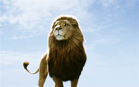 Aslan In Narnia Dawn Treader Post In 1920×1200 Pixel The King The