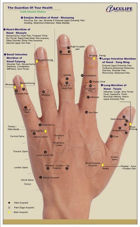 Aculife Tiens Reflexology Hand Chart Hand Reflexology Reflexology