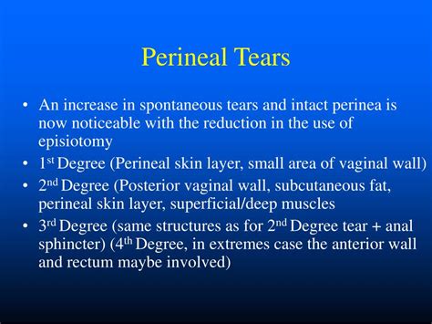 Ppt Perineal Injury Powerpoint Presentation Free Download Id5328138