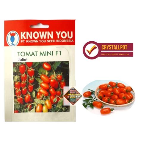 Jual READY BENIH TANAMAN SUPER Benih Bibit Tomat Mini F1 Juliet Known