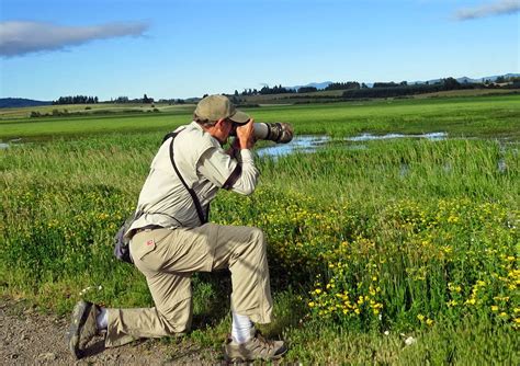 Cascade Ramblings Birding With John At Baskett Slough