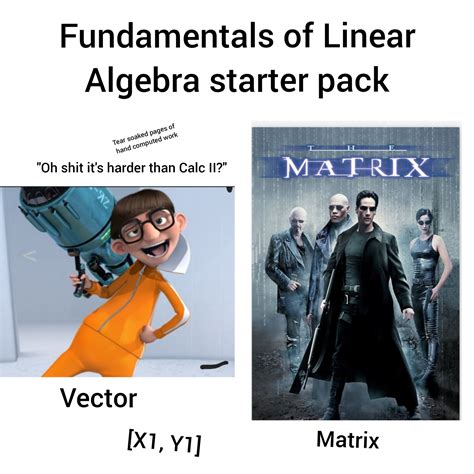 The Fundamentals Of Linear Algebra Starter Pack Rstarterpacks