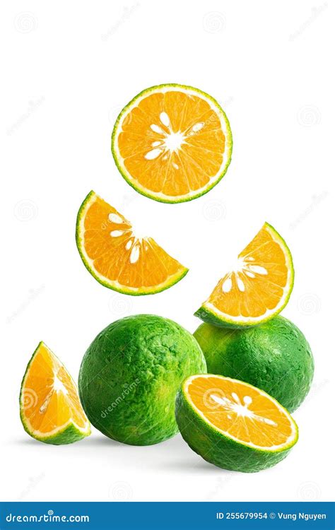 Sliced And Stacked Calamansi Or Green Orange Fruits Stock Photo Image