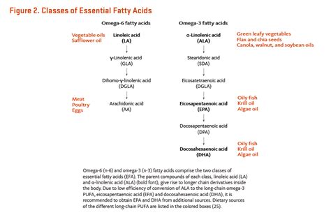 Essential Fatty Acids Linus Pauling Institute Oregon State University
