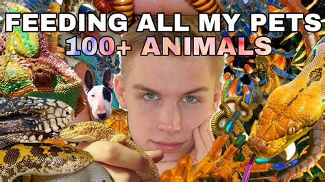 Feeding All My Pets In One Video 100 Animals Unbelievable Youtube