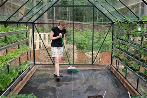 Growing Vegetables In A Greenhouse One Hundred Dollars A Month