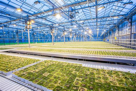 Improving Food Production With Agricultural Technology And Plant