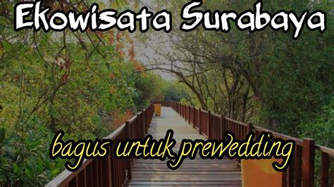 Wisata Hutan Mangrove Wonorejo Surabaya Youtube