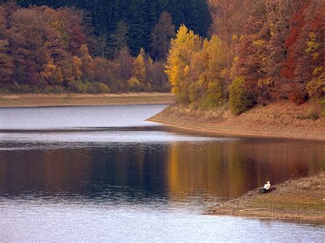A renowned international diplomat, he served as eu special envoy to the former yugoslavia, high representative for bosnia and herzegovina. Chillen Foto & Bild | jahreszeiten, herbst, impressionen ...