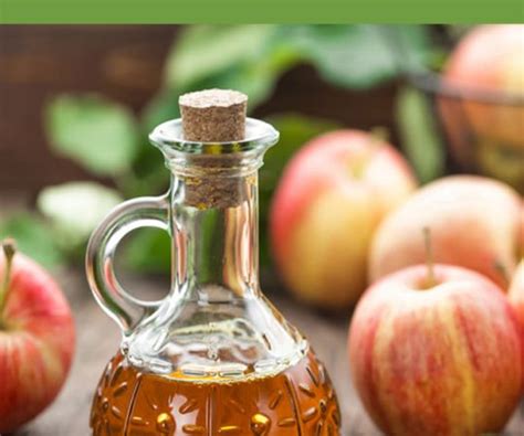 How To Improve Your Gut Health With Apple Cider Vinegar Healthy Hints