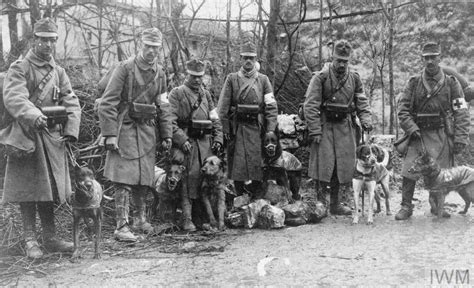 However, about nationalities, it were only the czechs who deserted a lot in the war, the most of. THE AUSTRO-HUNGARIAN CAMPAIGN AGAINST RUSSIA, 1914-1918 ...