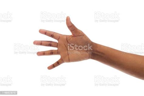 Stretched Black Female Hand Gesturing Open Palm Isolated On White Stock