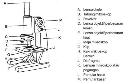 Pengertian Dan Macam Macam Jenis Mikroskop Bagian Bagian Beserta