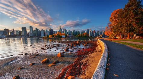 5 Things To Do In Vancouver Today Thursday October 27 Daily Hive