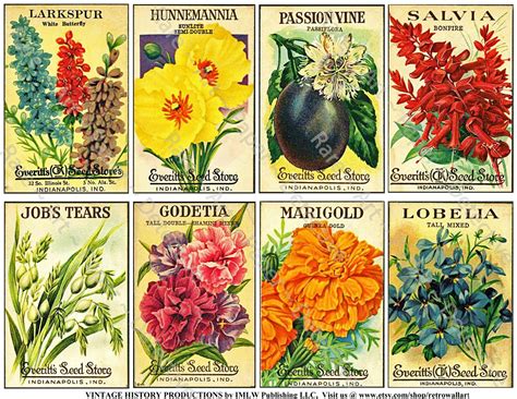 Vintage Food Labels Vintage Seed Packets Bold Artwork Seed Packaging