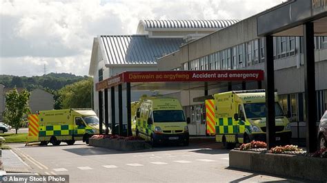 Nhs Is Forced To Pay Out £4million In Compensation And Legal Fees To Victims Of Sex Attacks