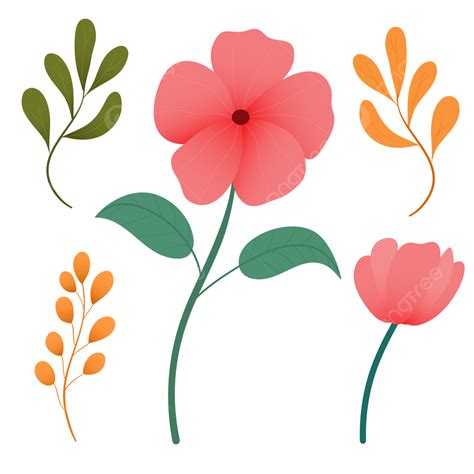 Gambar Vektor Ilustrasi Set Bunga Bunga Floral Ilustrasi Bunga Png