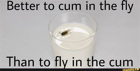 Better To Cum In The Fly Ad Than To Fly In The Cum Ifunny
