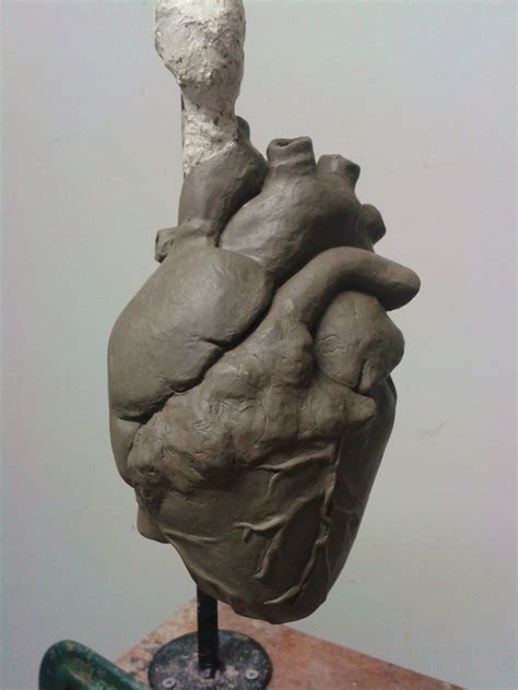 Anatomical Heart Clay Sculpture Sculpture Art Anatomy Art Heart Art