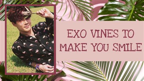 Exo Vines To Make You Smile Pt19 Youtube