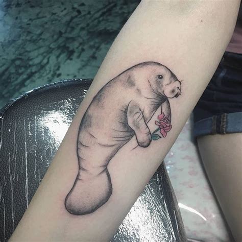 New Manatee And Healed Orca By Pixiecattoos Tattoo Tattooart