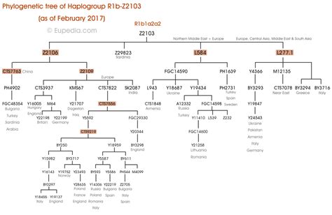 Most of the individuals in this tree are from the arabian peninsula and have the haplogroup j1b2b1 (aka j1c3d2) l222.2+. Haplogroup R1b (Y-DNA) - Eupedia