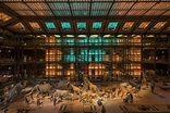 Visiter le Muséum National d'Histoire Naturelle : billets et infos ...