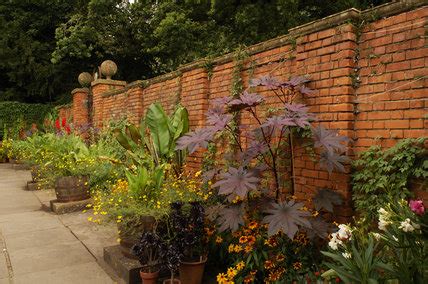 Building a brick garden wall is a good opportunity to learn the skill. The Lady Garden with exotic planting around the edges of ...