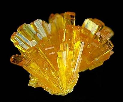 Minerals Crystals Yellow Uranium Mineral Calcium Uranophane