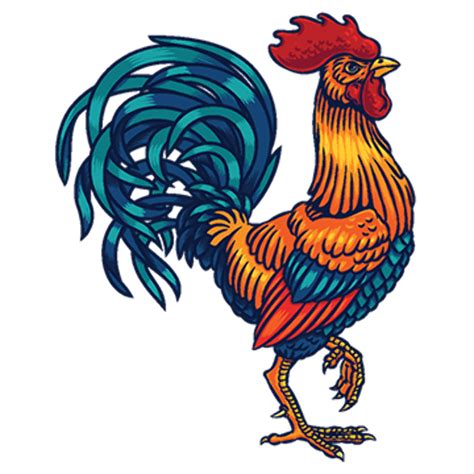 Download High Quality Rooster Clipart Transparent Background