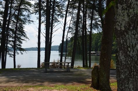 Bald Ridge Creek Park On Lake Lanier
