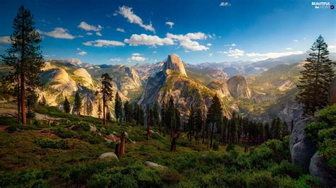 Mountains Trees State Of California Yosemite National Park The