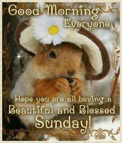 Pin By Annie Kershner On Squirrels Blessed Sunday Sunday Wishes