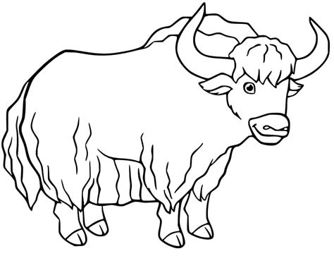 19 Coloring Page Yak Images Coloring Page