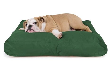 9 Indestructible Dog Beds For Chew Tastic Canines Pet Voice