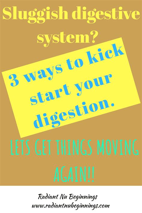 Sluggish Digestion Here Are 3 Ways You Can Improve Your Digestion And