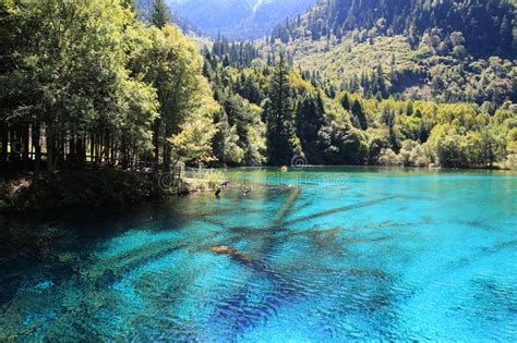 Colorful Lake In Jiuzhaigou National Park Stock Image Image Of Autumn