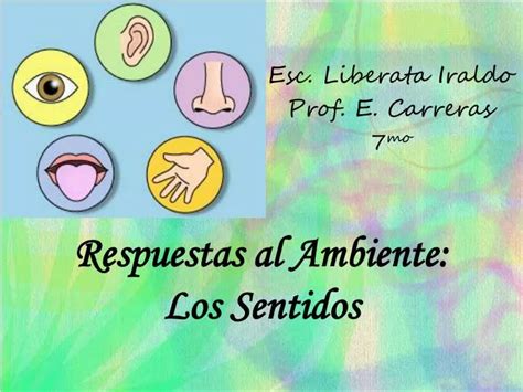 Ppt Respuestas Al Ambiente Los Sentidos Powerpoint Presentation