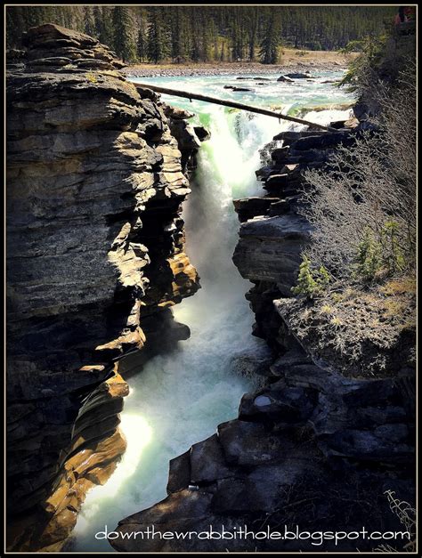 Athabasca Falls Of Jasper Alberta