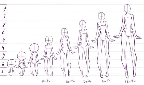 2 To 9 Heads My Likes About Anime Anatomy By Rika Dono Drawing Tips