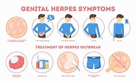 Premium Vector | Genital herpes symptoms. infectious dermatology ...