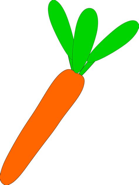 Carrot Free Stock Photo Illustration Of An Orange Carrot 16509