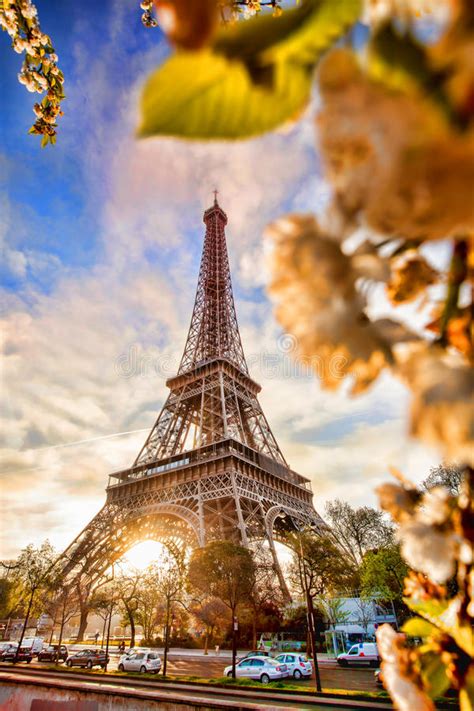 Eiffel Tower With Spring Tree In Paris France Stock Photo Image Of