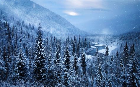Nature Landscape River Snow Winter Mountain Forest Pine Trees Cold
