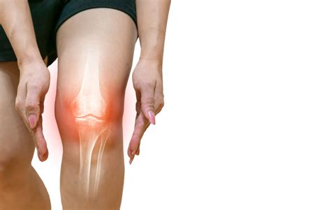treatments  loss  cartilage  knee