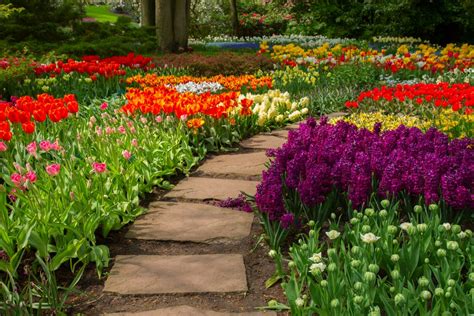 3 Things You Need to Know Now for Spring Gardening