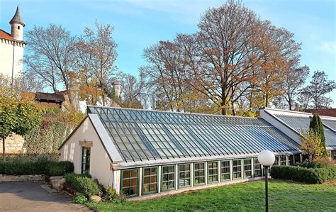 We do it for the love. Glashaus bekommt neues Dach - Hildesheimer Allgemeine