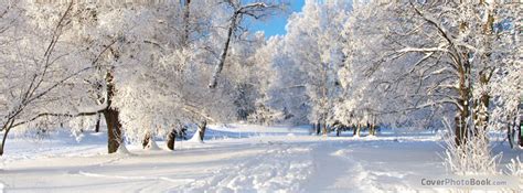 A horse breed used for nature conservation management. Winter Ice Trees Facebook Cover - Nature