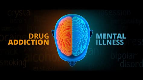 Drug Addiction And Mental Illness Dual Diagnosis How Mental Health Can