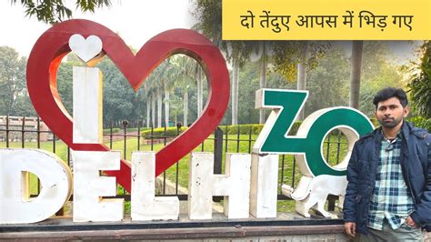 Delhi Zoo Delhi Zoo Nearest Metro Station National Zoological Park